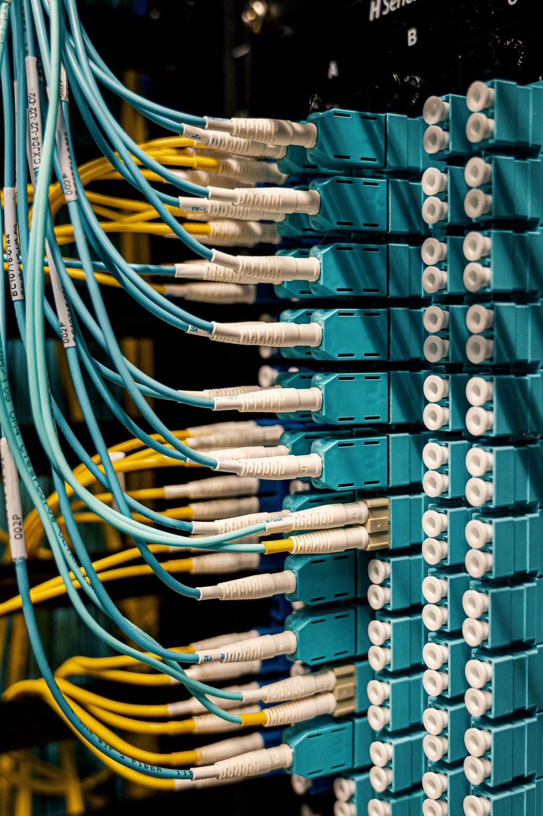 Network cables and server hardware in a rack, with colorful fiber connectors in sunlight